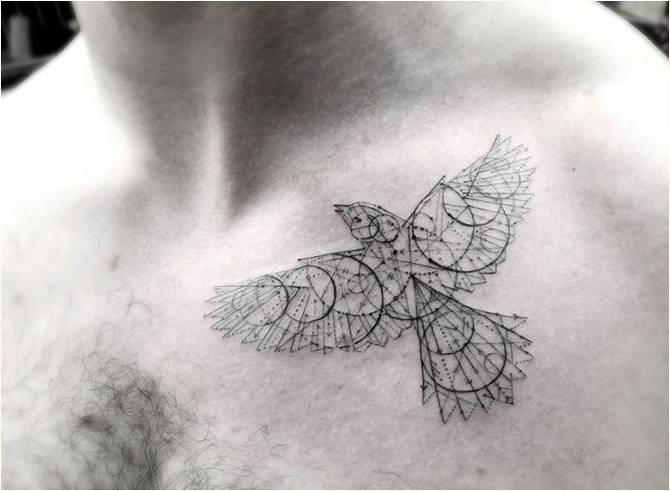Geometrijske tetovaže dr. Vu u tjelesnim slikama divljih životinja