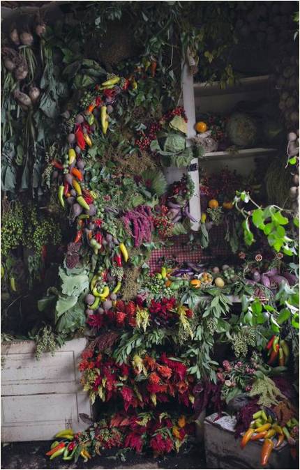 Instalacija" Cvjetna kuća " cvjećarke lize vode